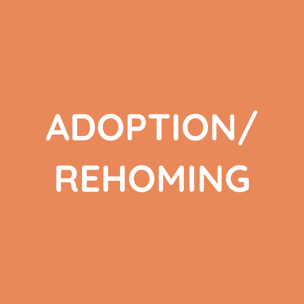 Adoption and Rehoming