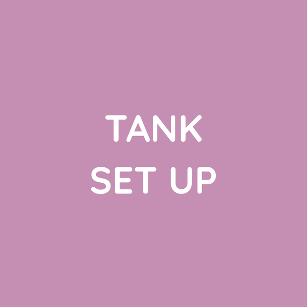 Tank Set-Up