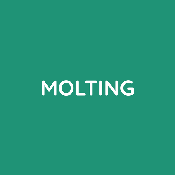 Molting