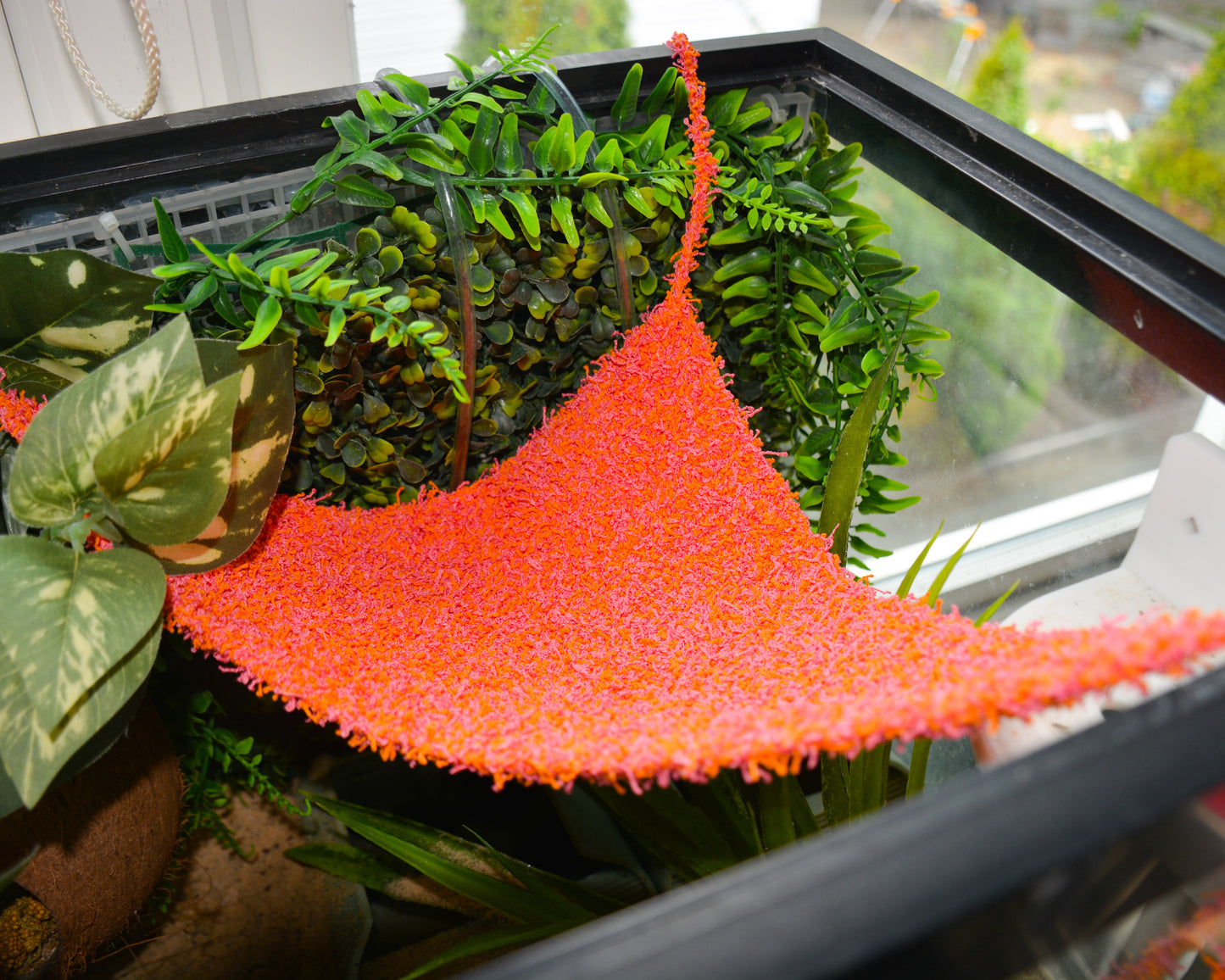 nortons-nest-hammock-climbing-tank-accessories-hermit-crabs-reptiles-pet-supplies-janie-groeling-enrichment-coral-reef