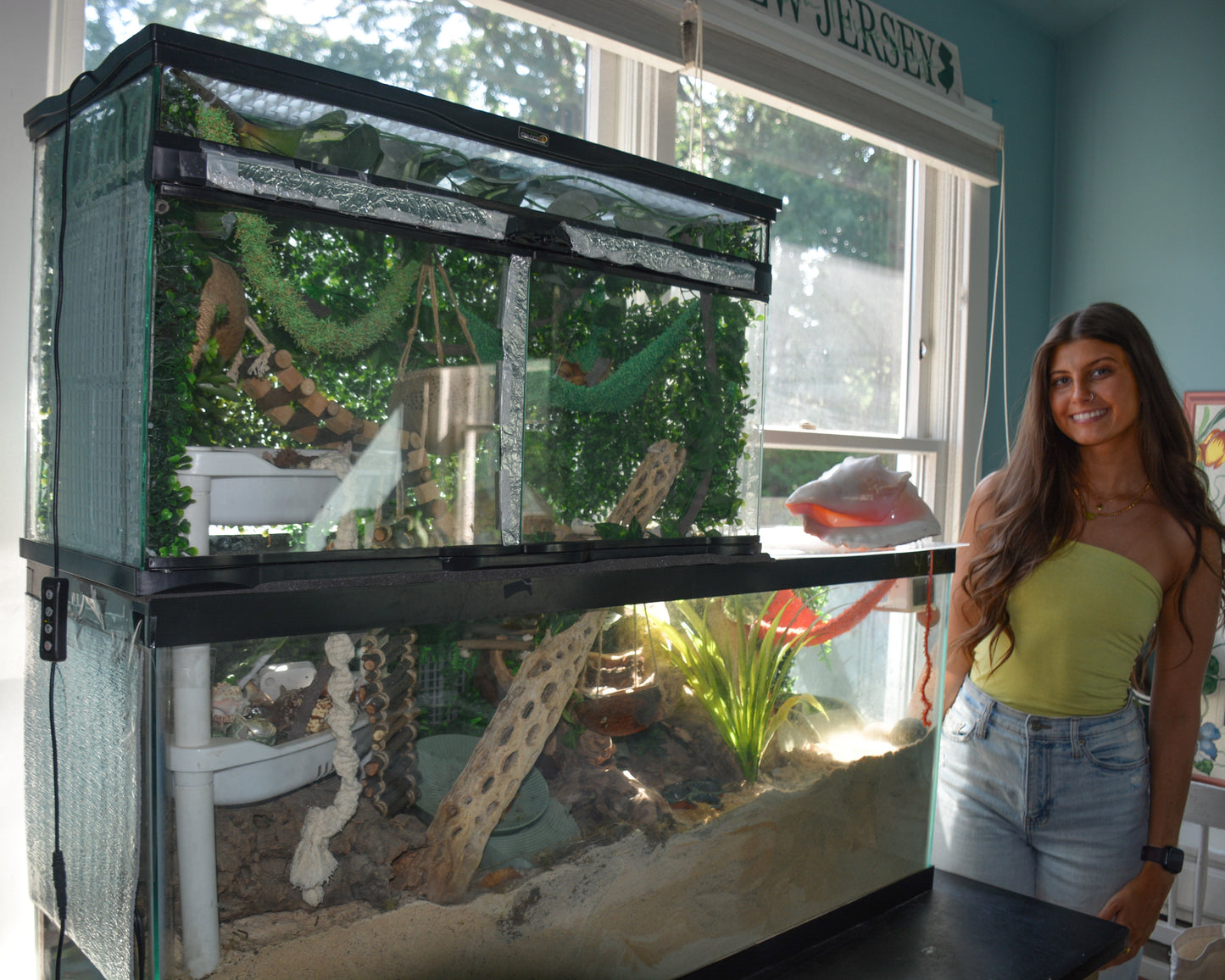 nortons-nest-virtual-hermit-crab-care-coaching-help-questions-consultations-hermitcrabcare-pet-care-janie-groeling