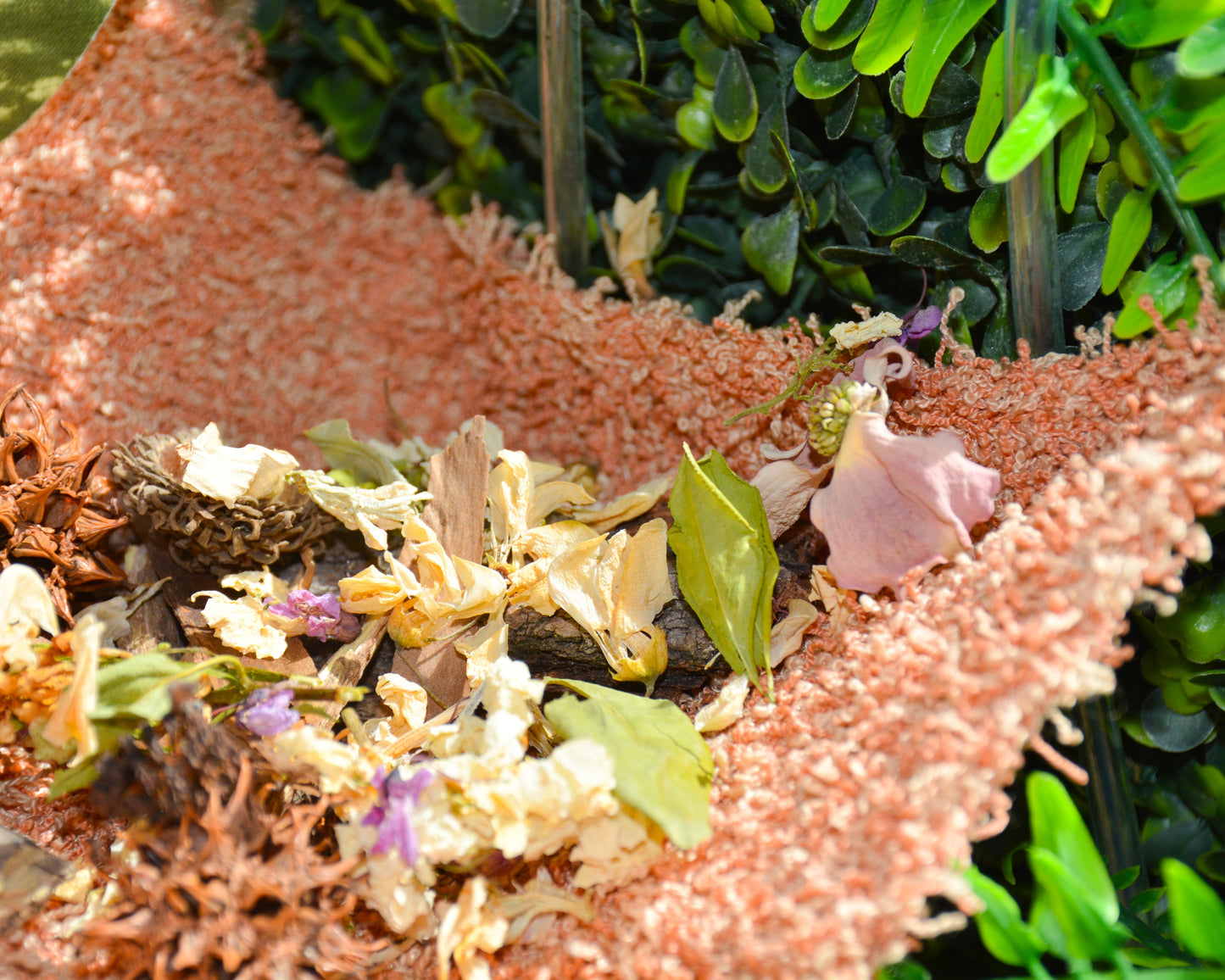 nortons-nest-hammock-climbing-tank-accessories-hermit-crabs-reptiles-pet-supplies-ocean-blue-janie-groeling-enrichment