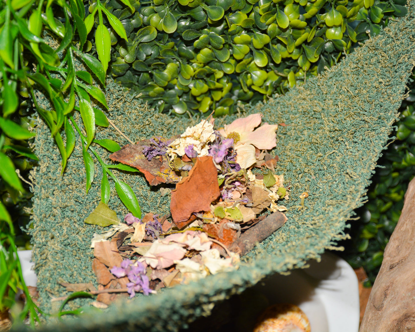 nortons-nest-hammock-climbing-tank-accessories-hermit-crabs-reptiles-pet-supplies-janie-groeling-enrichment-moss-green