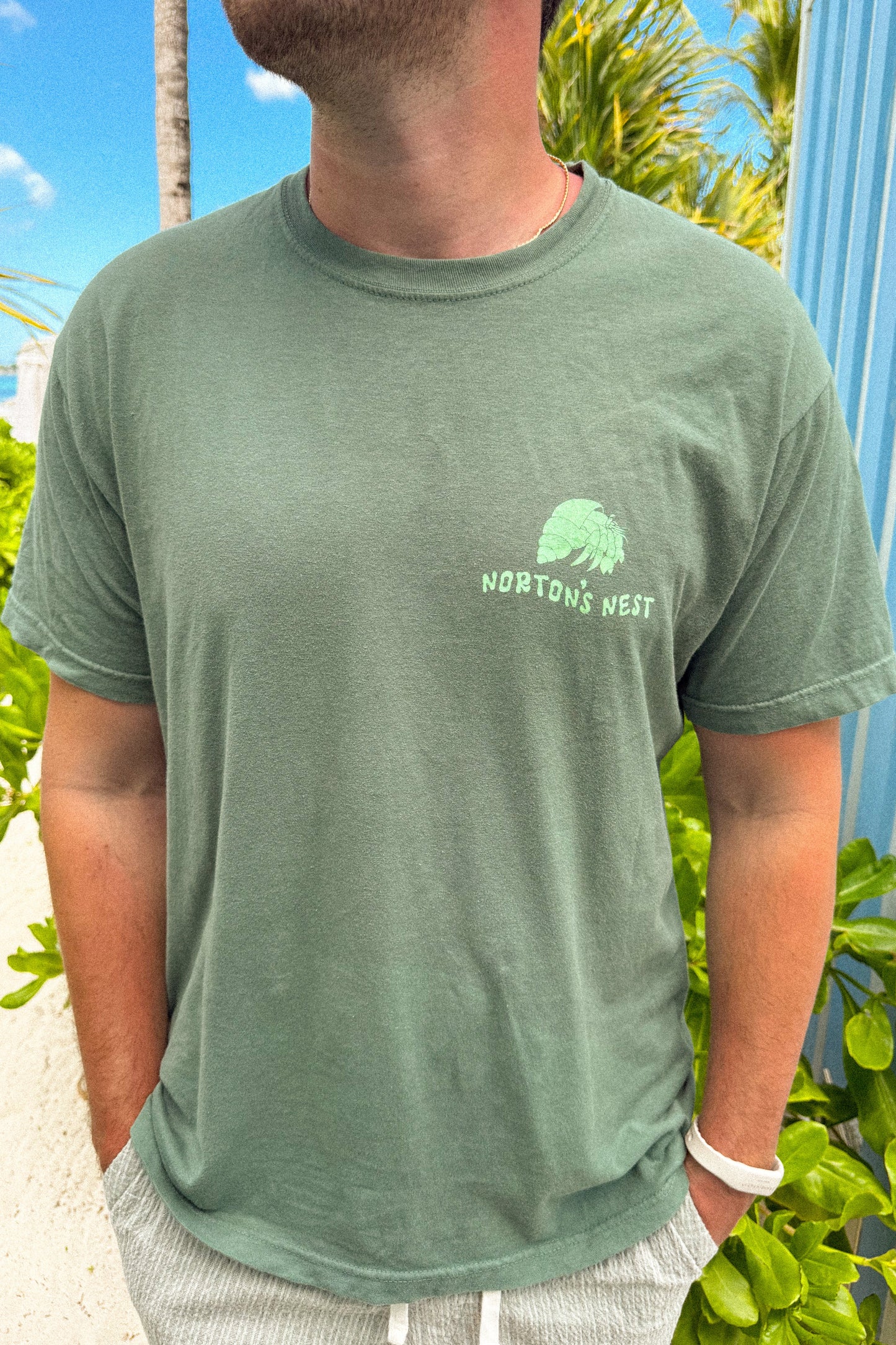 nortons nest janie groeling hermit crab save the hermit crabs short sleeve tee shirt top clothing apparel pet supplies blue coastal