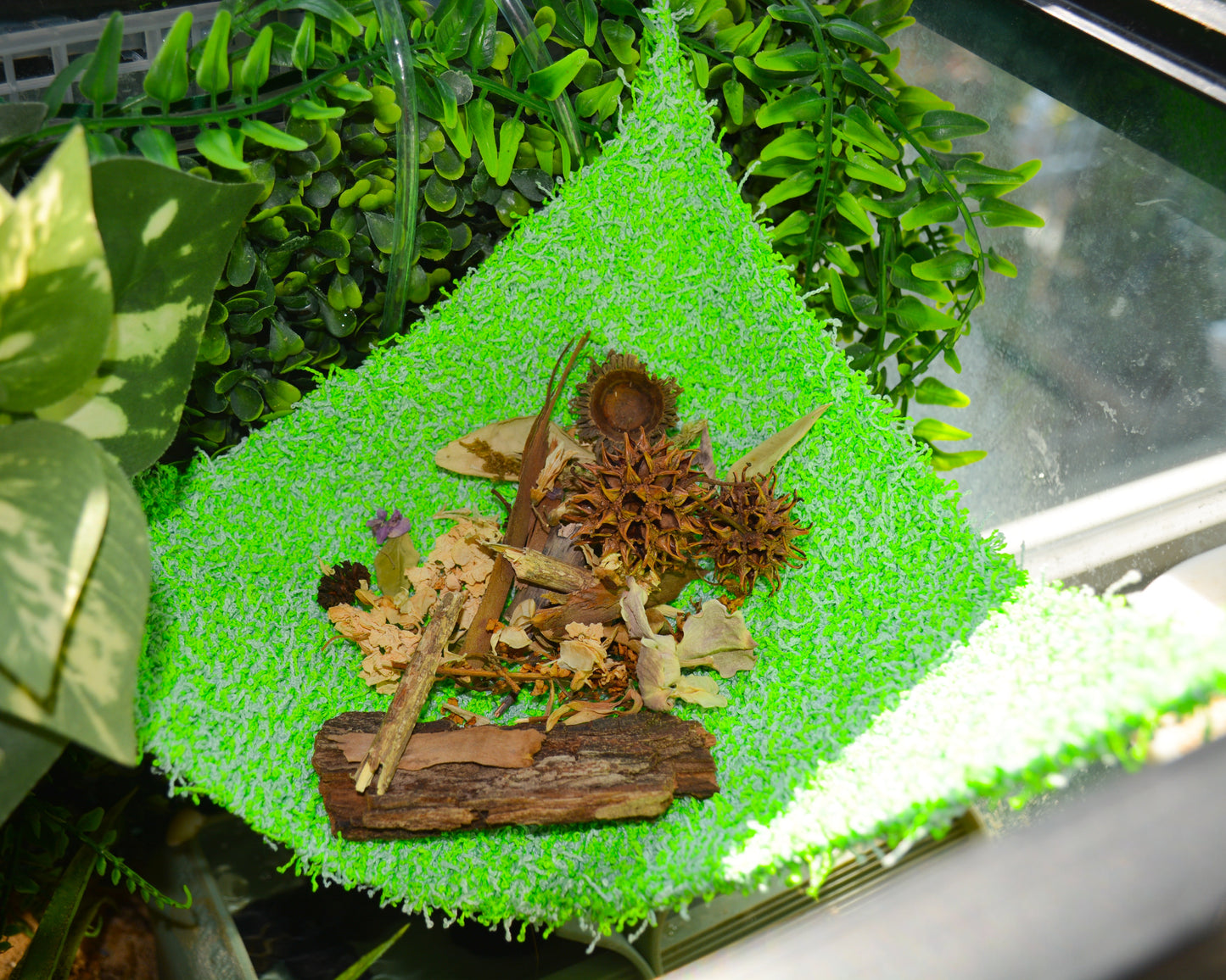 nortons-nest-hammocks-caribbean-blue-hermit-crab-pet-supplies-accessories-tank-reptiles-janie-groeling