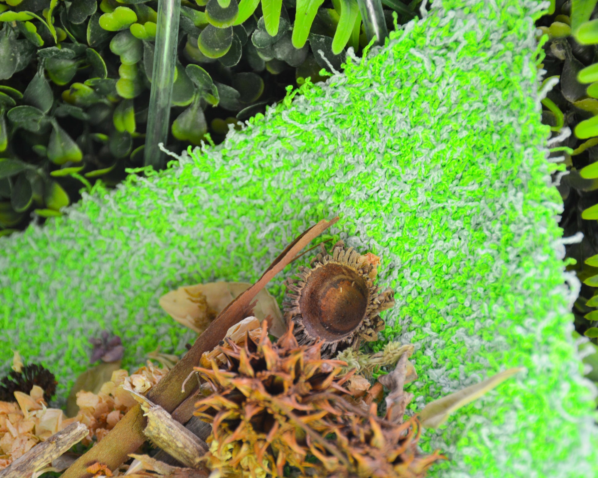 nortons-nest-hammocks-caribbean-blue-hermit-crab-pet-supplies-accessories-tank-reptiles-janie-groeling