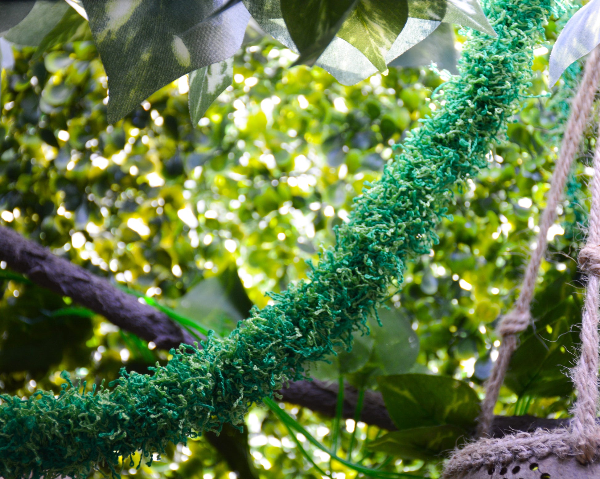 nortons-nest-hammock-climbing-vine-rope-tank-accessory-reptile-hermit-crab-pet-supplies-janie-groeling-jungle-green