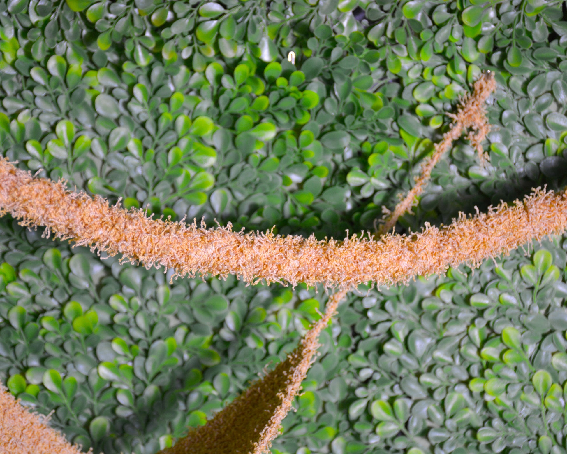 nortons-nest-hammock-climbing-vine-rope-tank-accessory-reptile-hermit-crab-pet-supplies-janie-groeling-dune