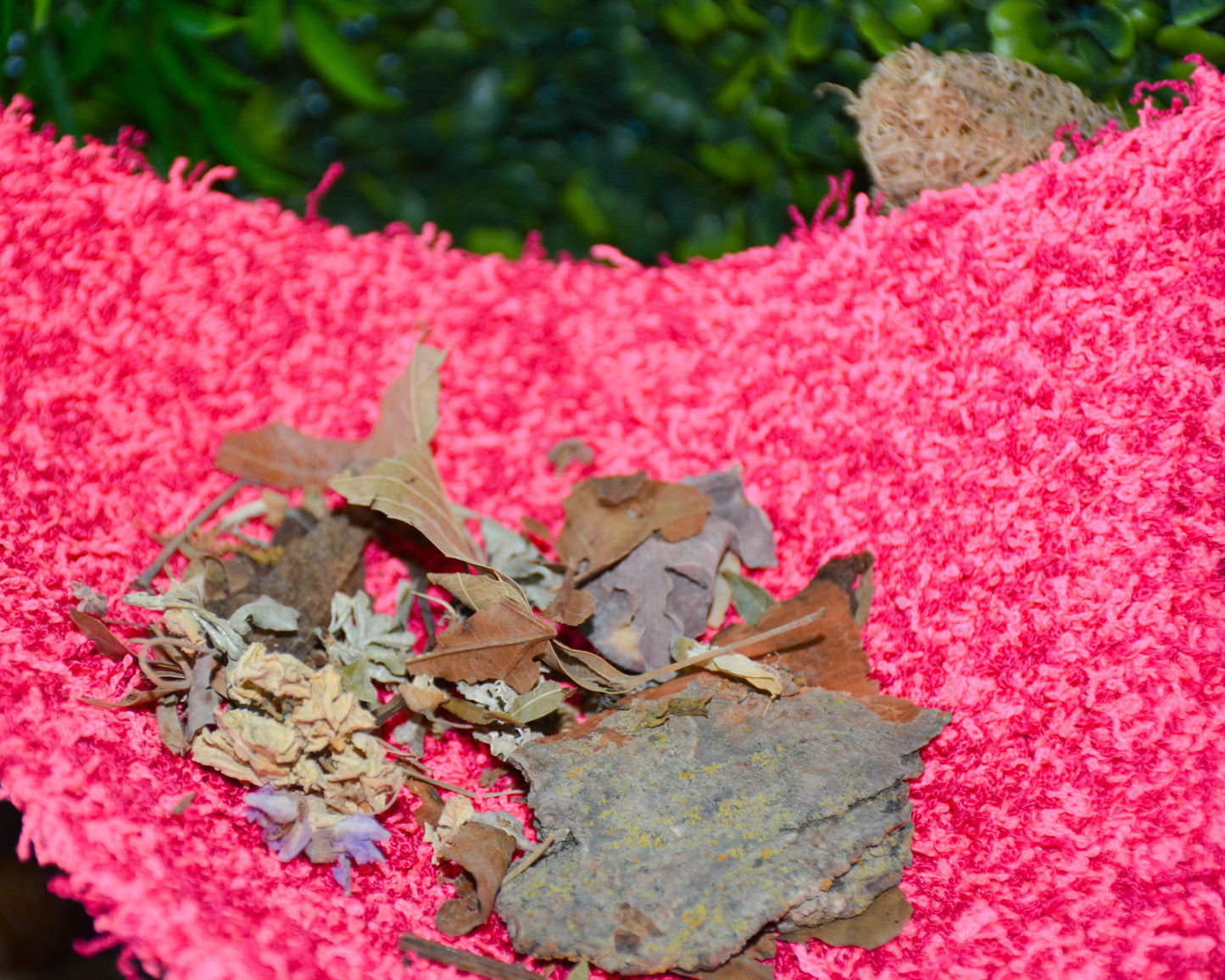 nortons-nest-hammocks-pink-raspberry-hermit-crab-pet-supplies-accessories-tank-reptiles-enrichment-janie-groeling