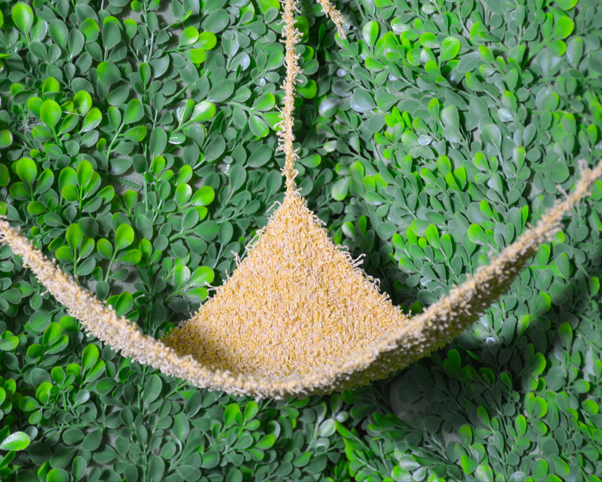 nortons-nest-hammocks-dune-hermit-crab-pet-supplies-accessories-tank-reptiles-enrichment-janie-groeling