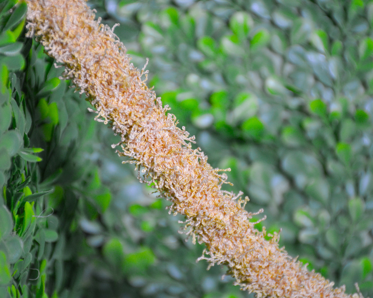 nortons-nest-hammock-climbing-vine-rope-tank-accessory-reptile-hermit-crab-pet-supplies-janie-groeling-dune