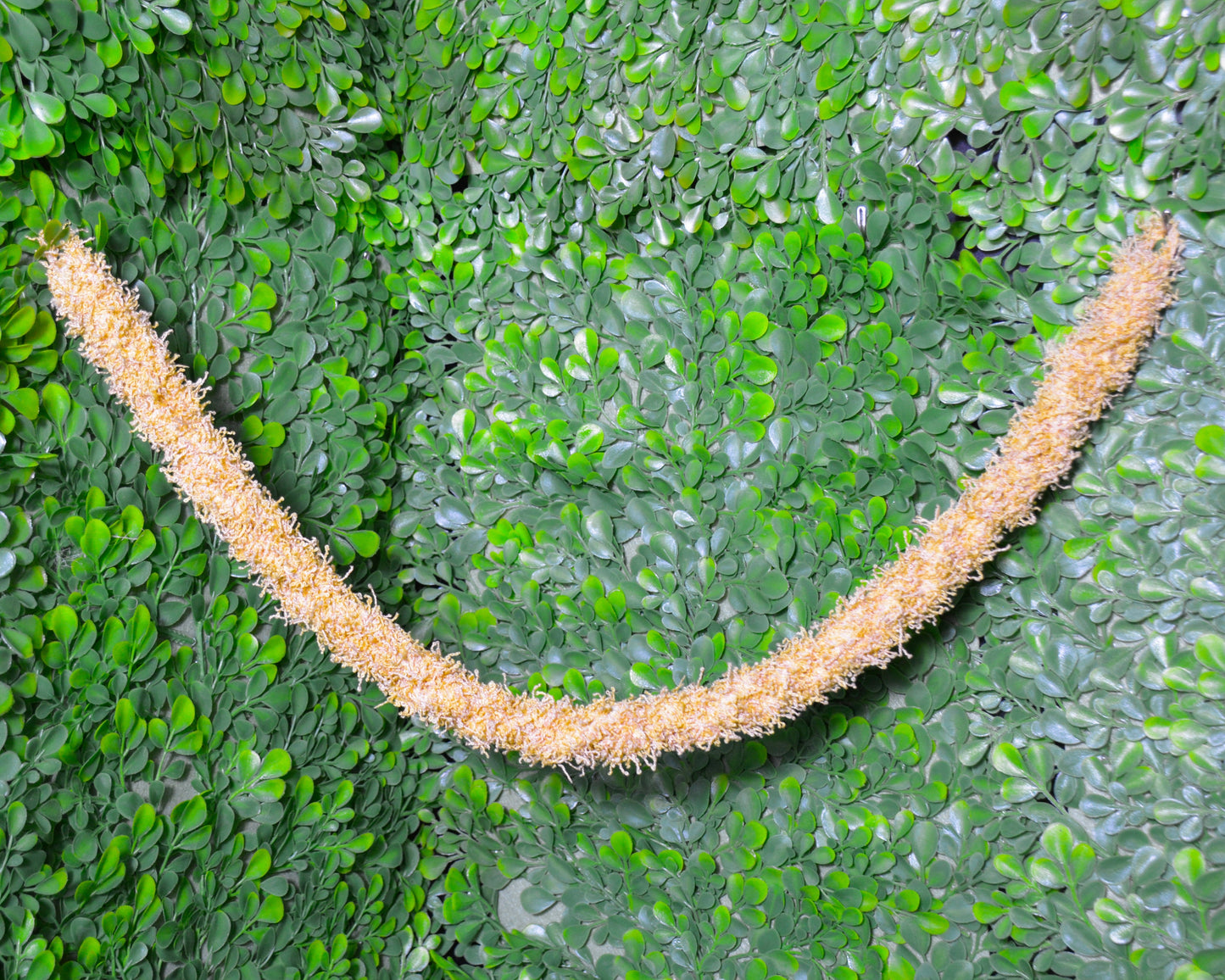 nortons-nest-hammock-climbing-vine-rope-tank-accessory-reptile-hermit-crab-pet-supplies-janie-groeling-dune