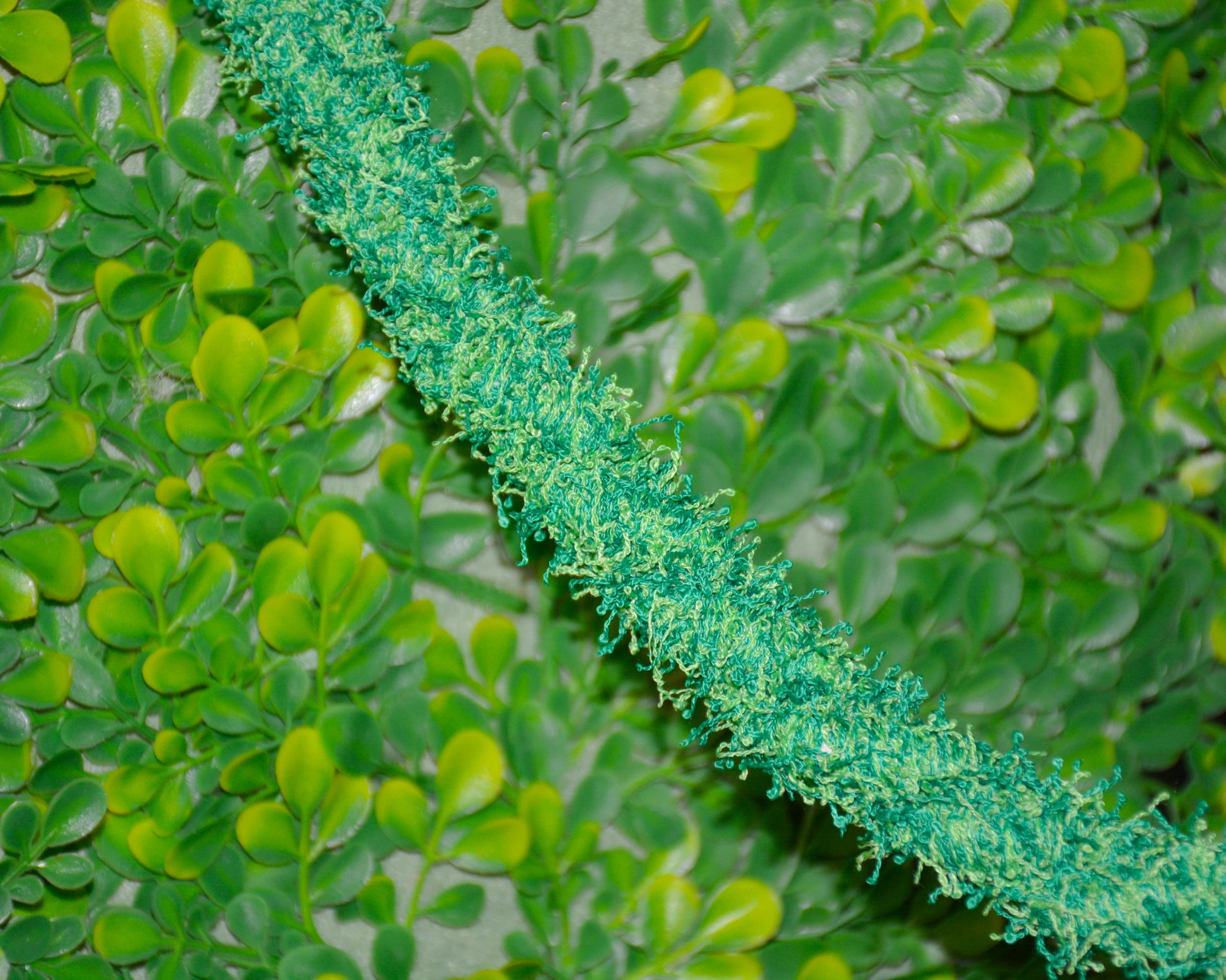 nortons-nest-hammock-climbing-vine-rope-tank-accessory-reptile-hermit-crab-pet-supplies-janie-groeling-jungle-green