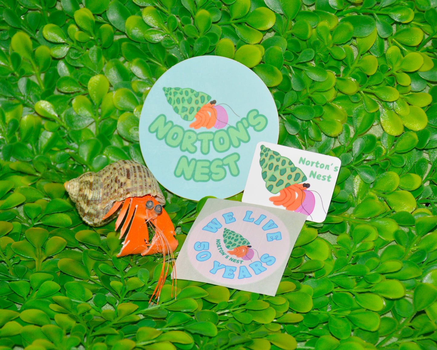 nortons-nest-stickers-merch-apparel-hermit-crab-bundle