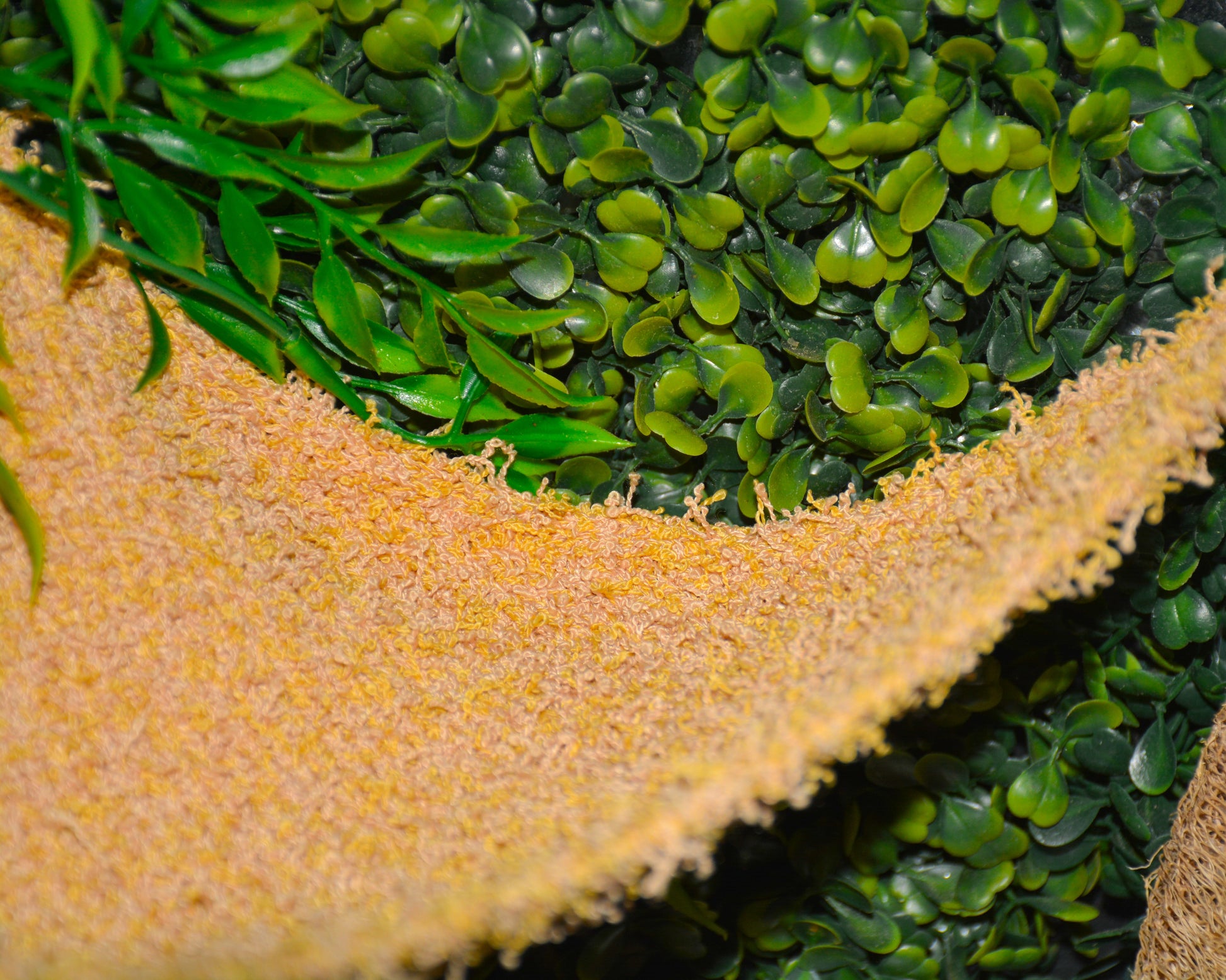 nortons-nest-hammocks-dune-hermit-crab-pet-supplies-accessories-tank-reptiles-enrichment-janie-groeling