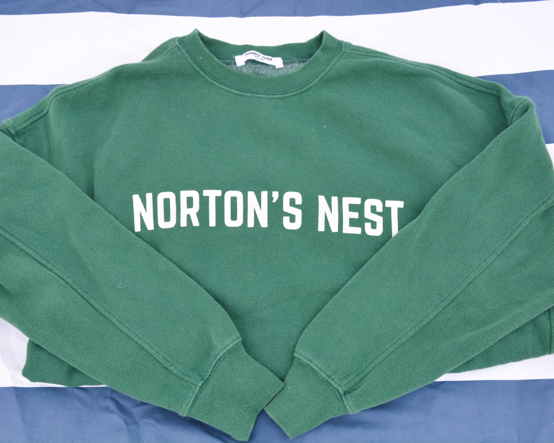 nortons-nest-pullover-green-sweatshirt-top-hermit-crabs-pets-shirt-janie-groeling