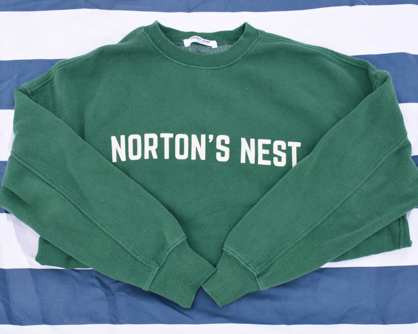nortons-nest-pullover-green-sweatshirt-top-hermit-crabs-pets-shirt-janie-groeling