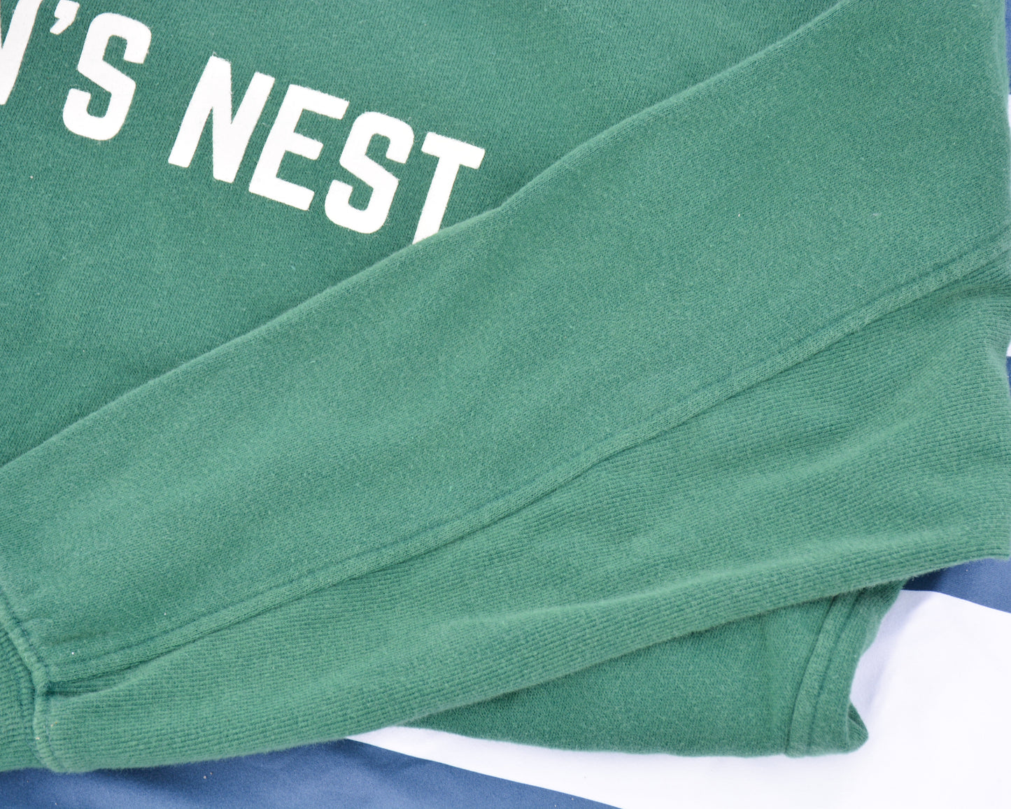nortons-nest-pullover-green-sweatshirt-top-hermit-crabs-pets-shirt-janie-groeling
