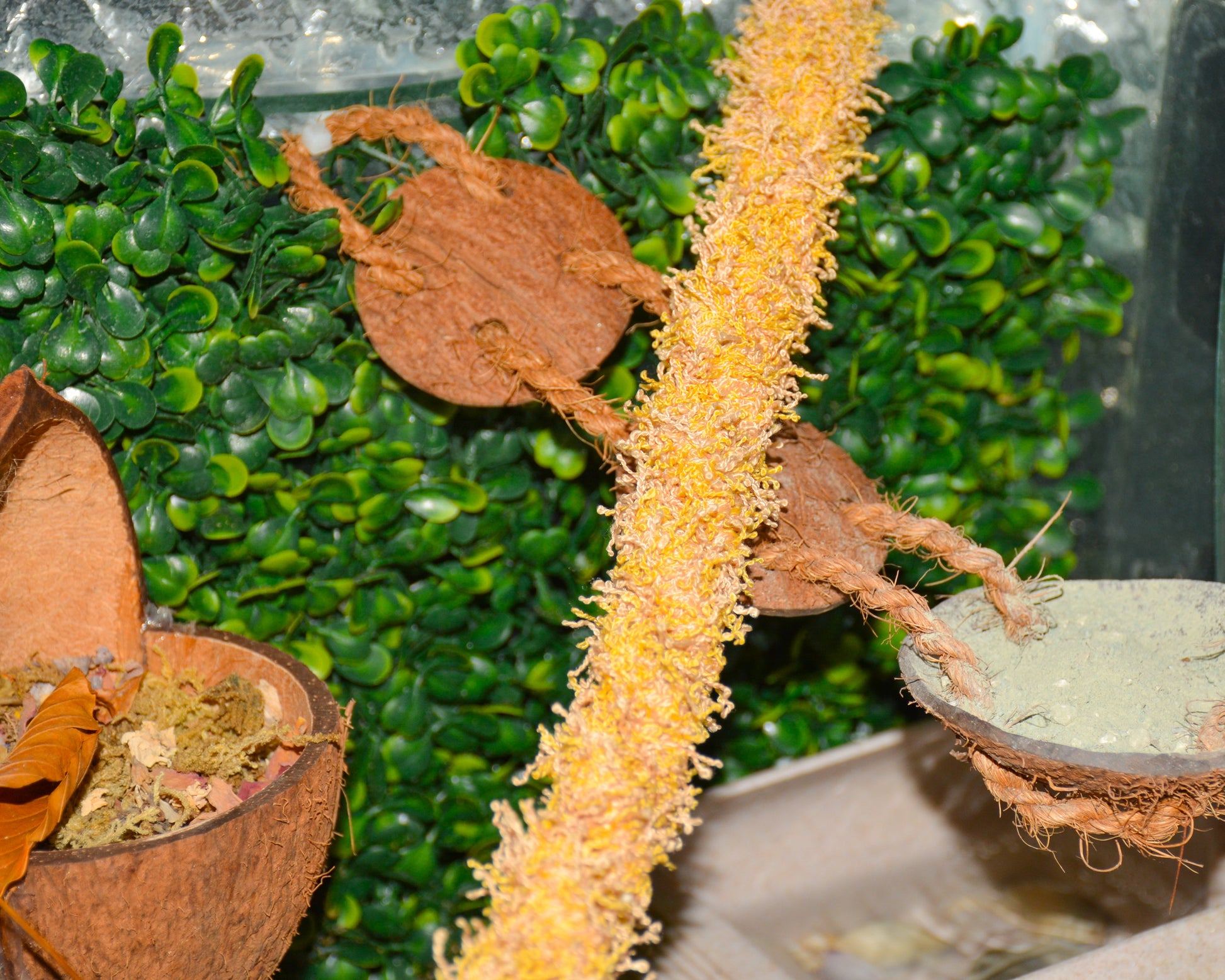 nortons-nest-hammock-climbing-vine-rope-tank-accessory-reptile-hermit-crab-pet-supplies-janie-groeling-dune