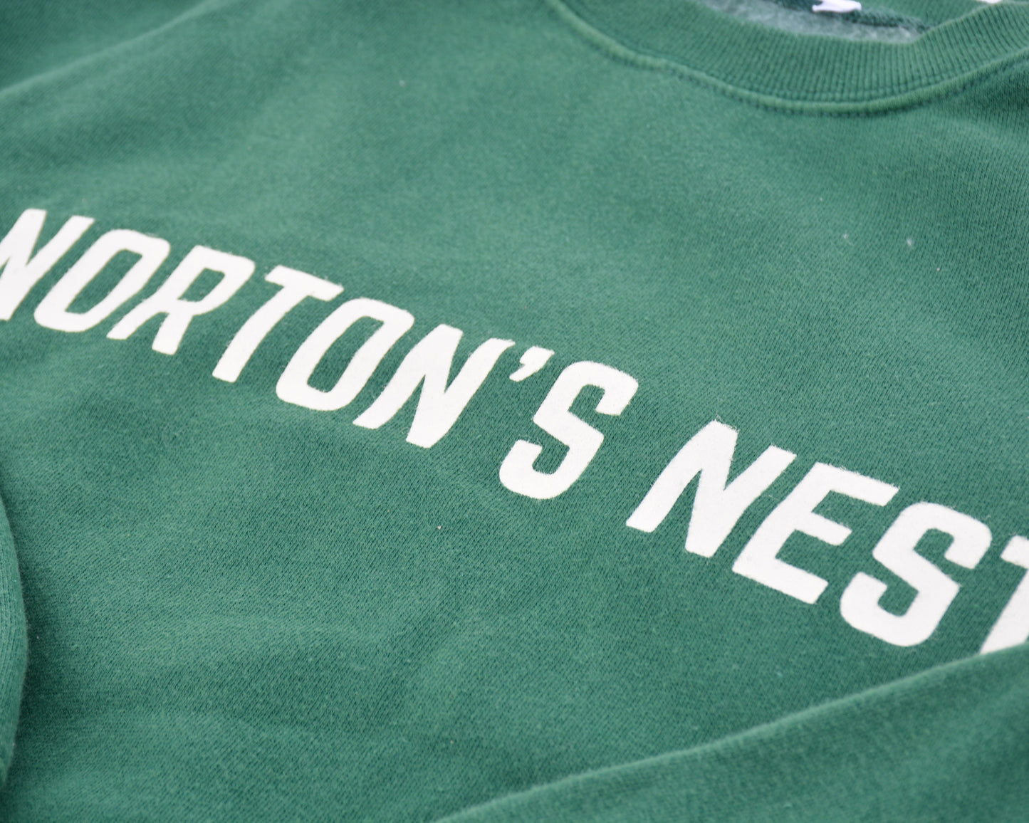 nortons-nest-pullover-green-sweatshirt-top-hermit-crabs-pets-shirt-janie-groeling