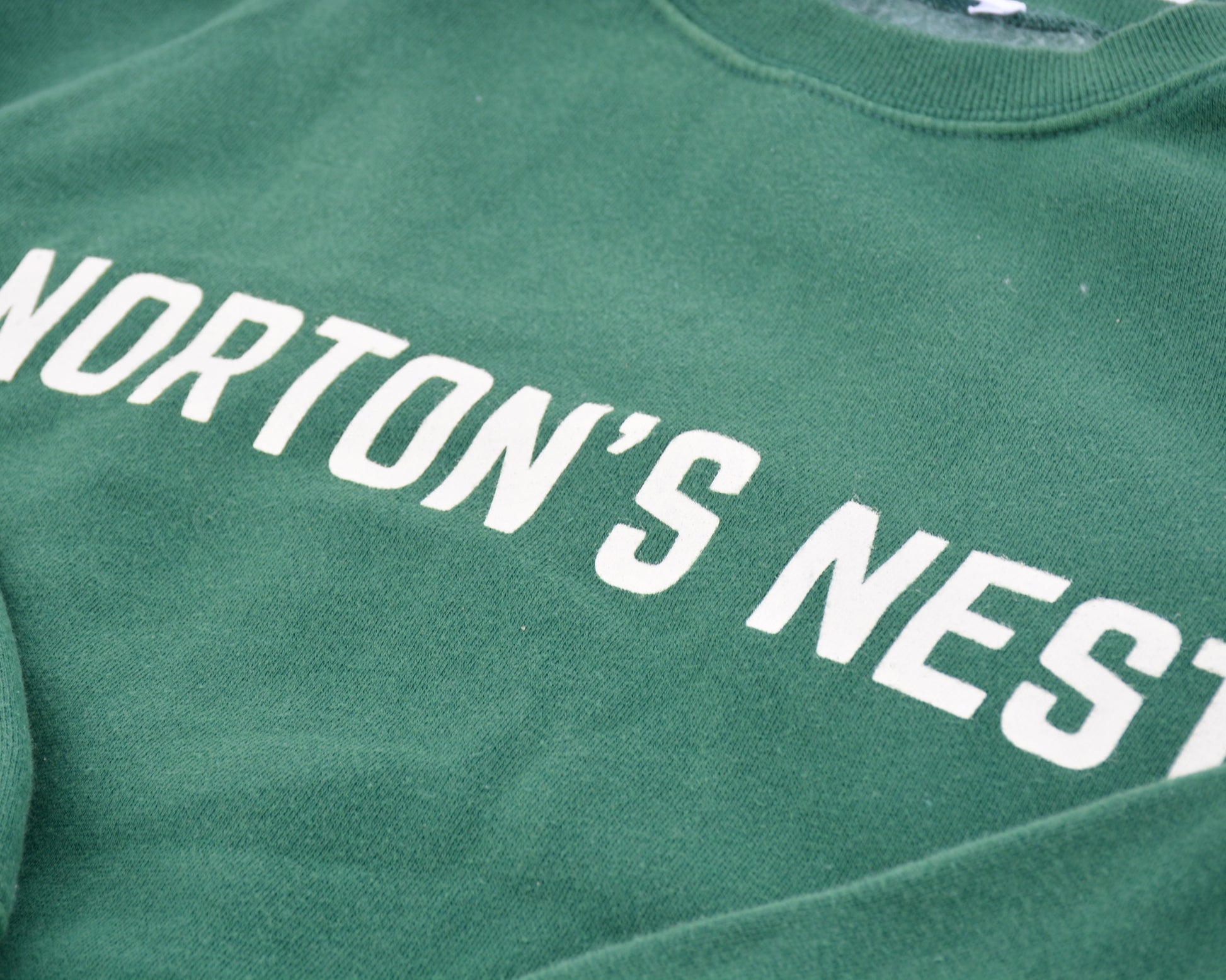 nortons-nest-pullover-green-sweatshirt-top-hermit-crabs-pets-shirt-janie-groeling