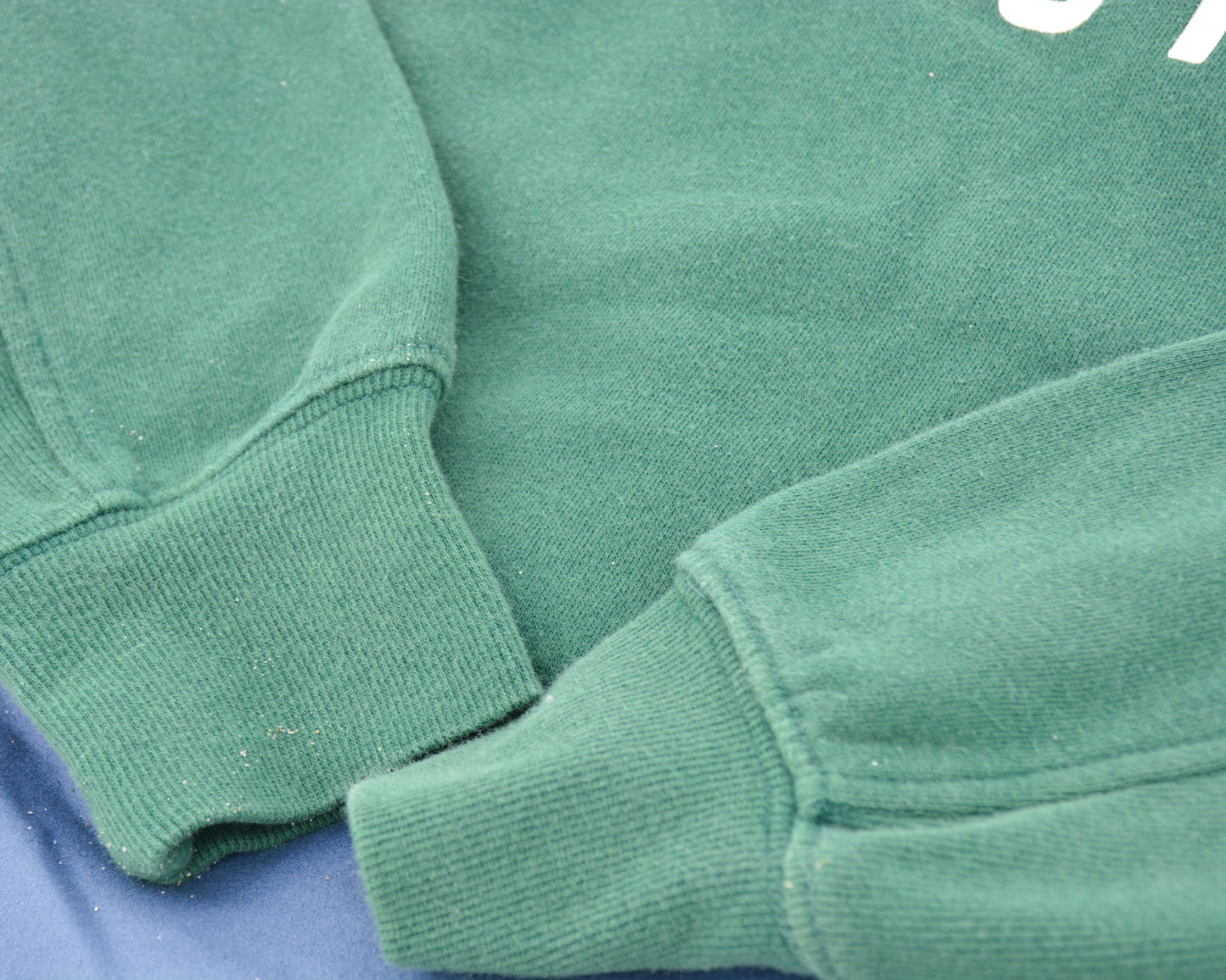 nortons-nest-pullover-green-sweatshirt-top-hermit-crabs-pets-shirt-janie-groeling