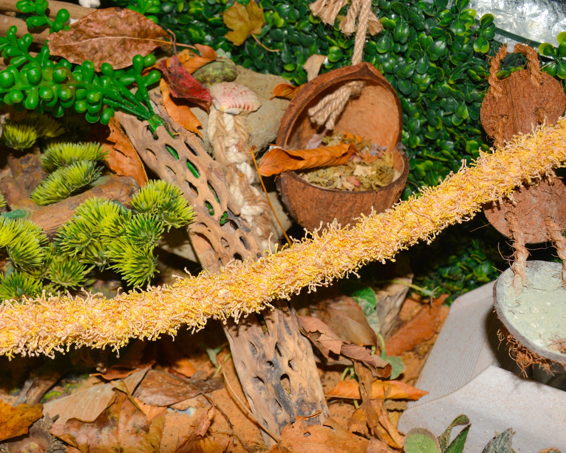 nortons-nest-hammock-climbing-vine-rope-tank-accessory-reptile-hermit-crab-pet-supplies-janie-groeling-dune