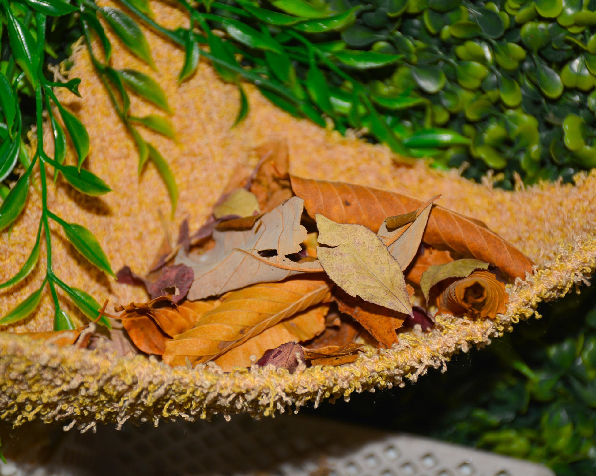 nortons-nest-hammocks-dune-hermit-crab-pet-supplies-accessories-tank-reptiles-enrichment-janie-groeling