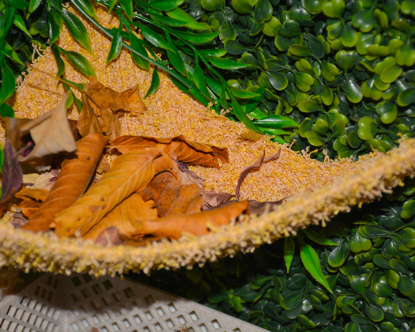 nortons-nest-hammocks-dune-hermit-crab-pet-supplies-accessories-tank-reptiles-enrichment-janie-groeling