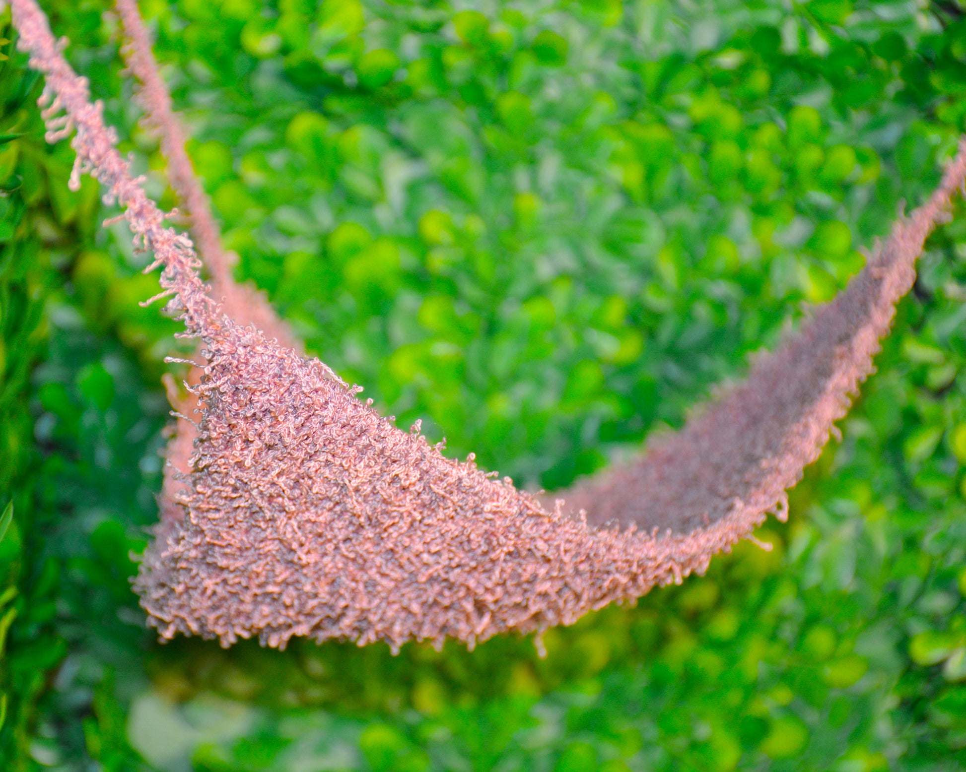 nortons-nest-hammocks-blush-pink-hermit-crab-pet-supplies-accessories-tank-reptiles-enrichment-janie-groeling