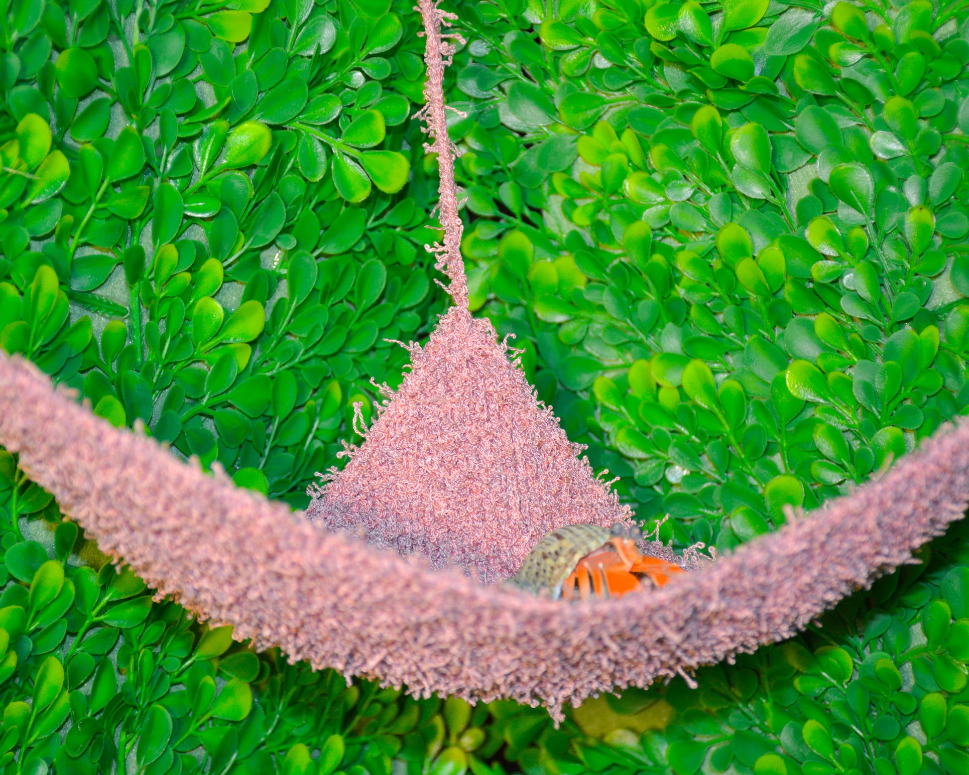 nortons-nest-hammocks-blush-pink-hermit-crab-pet-supplies-accessories-tank-reptiles-enrichment-janie-groeling