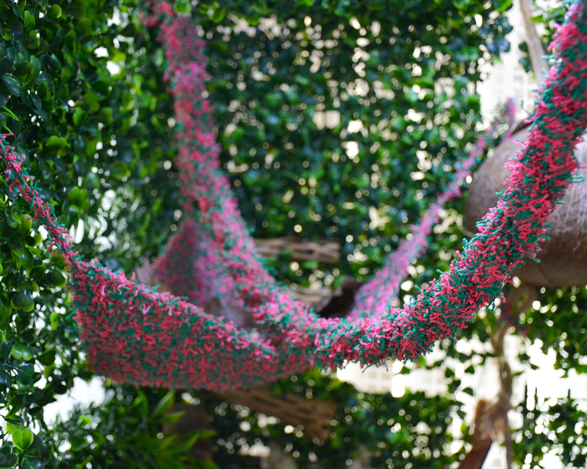 nortons nest watermelon climbing hermit crab enrichment bundle hammock climbing vine rope reptiles hermit crabs pet supplies tank accessories janie groeling