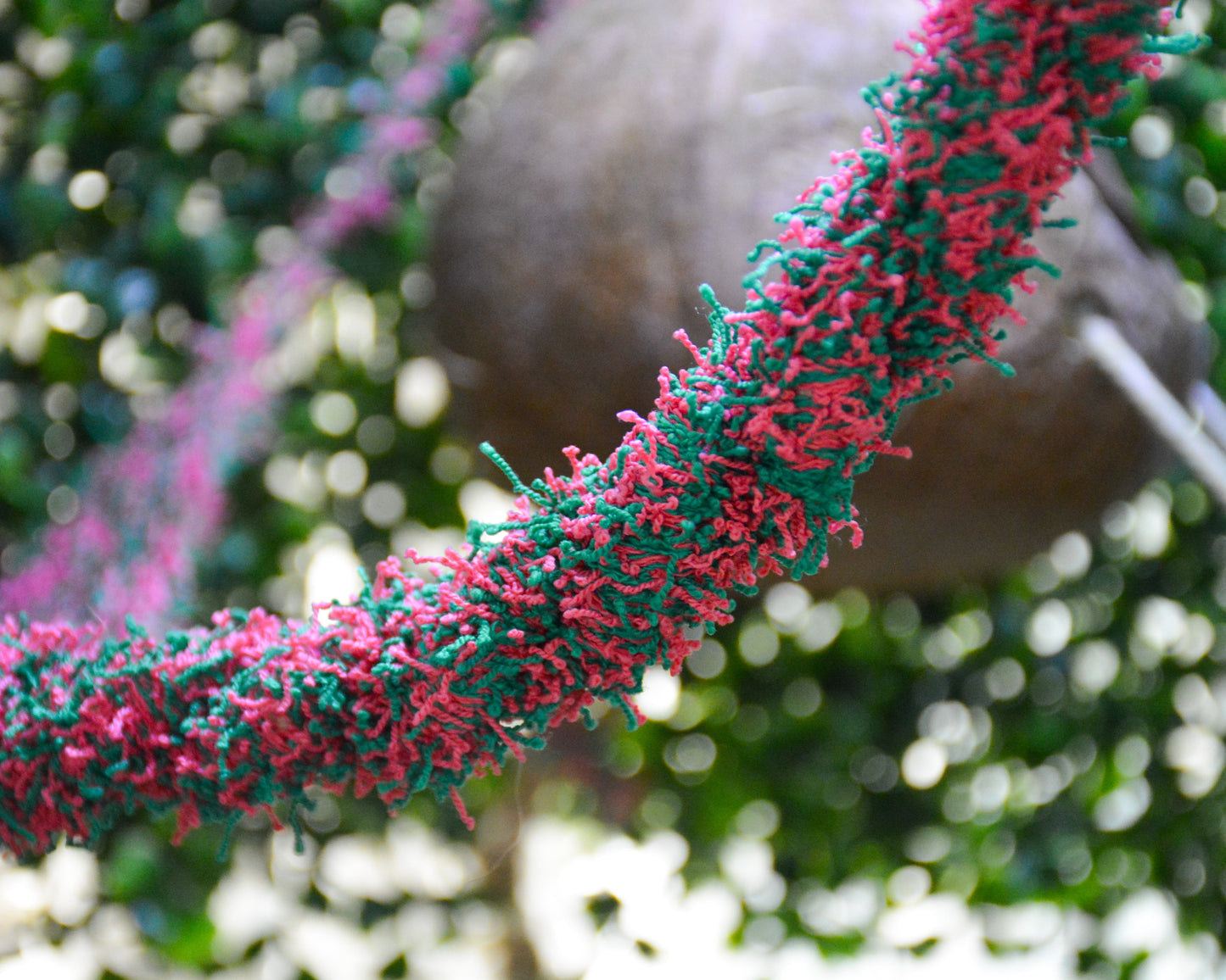 nortons nest hammock climbing vine rope tank accessory reptile hermit crab pet supplies janie groeling tank enrichment watermelon