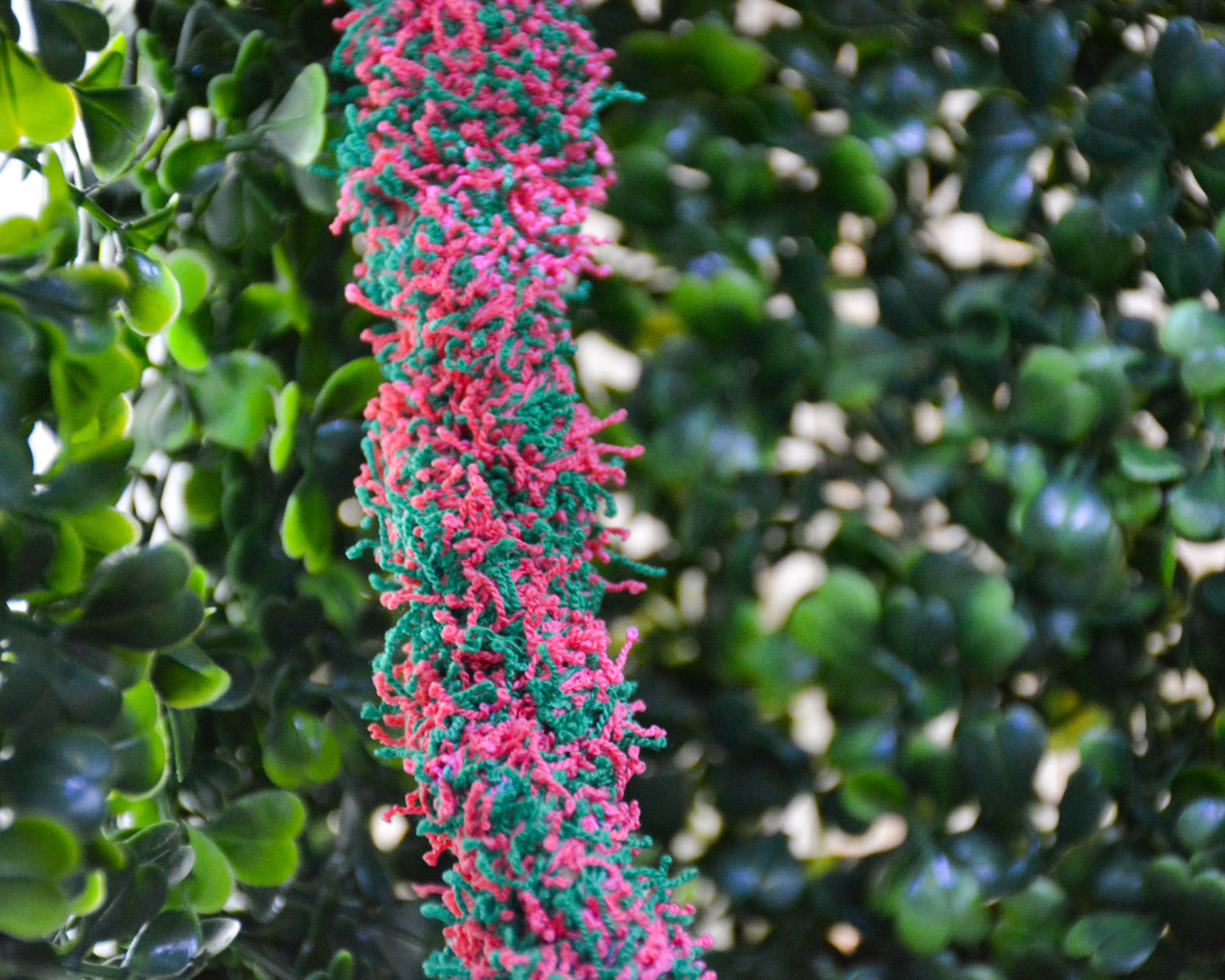 nortons nest hammock climbing vine rope tank accessory reptile hermit crab pet supplies janie groeling tank enrichment watermelon