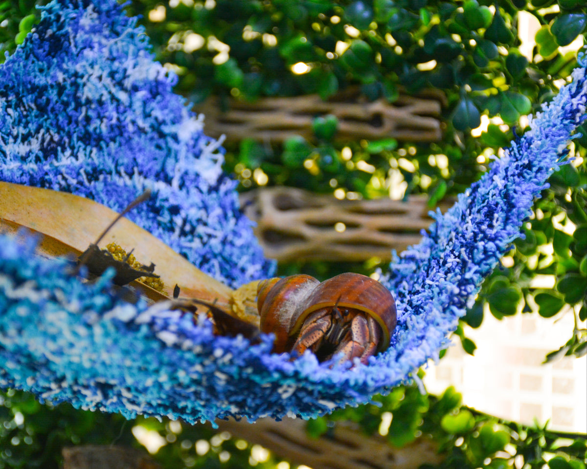 nortons nest hermit crab tank accessories climbing and hiding enrichment  moss hammock reptile hermit crab tank supplies pet supplies janie groeling hermit crab care deep blue mold proof humidity proof machine washable