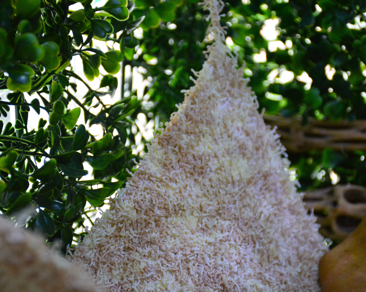 nortons nest hermit crab tank accessories climbing and hiding enrichment  moss hammock reptile hermit crab tank supplies pet supplies janie groeling hermit crab care latte brown natural