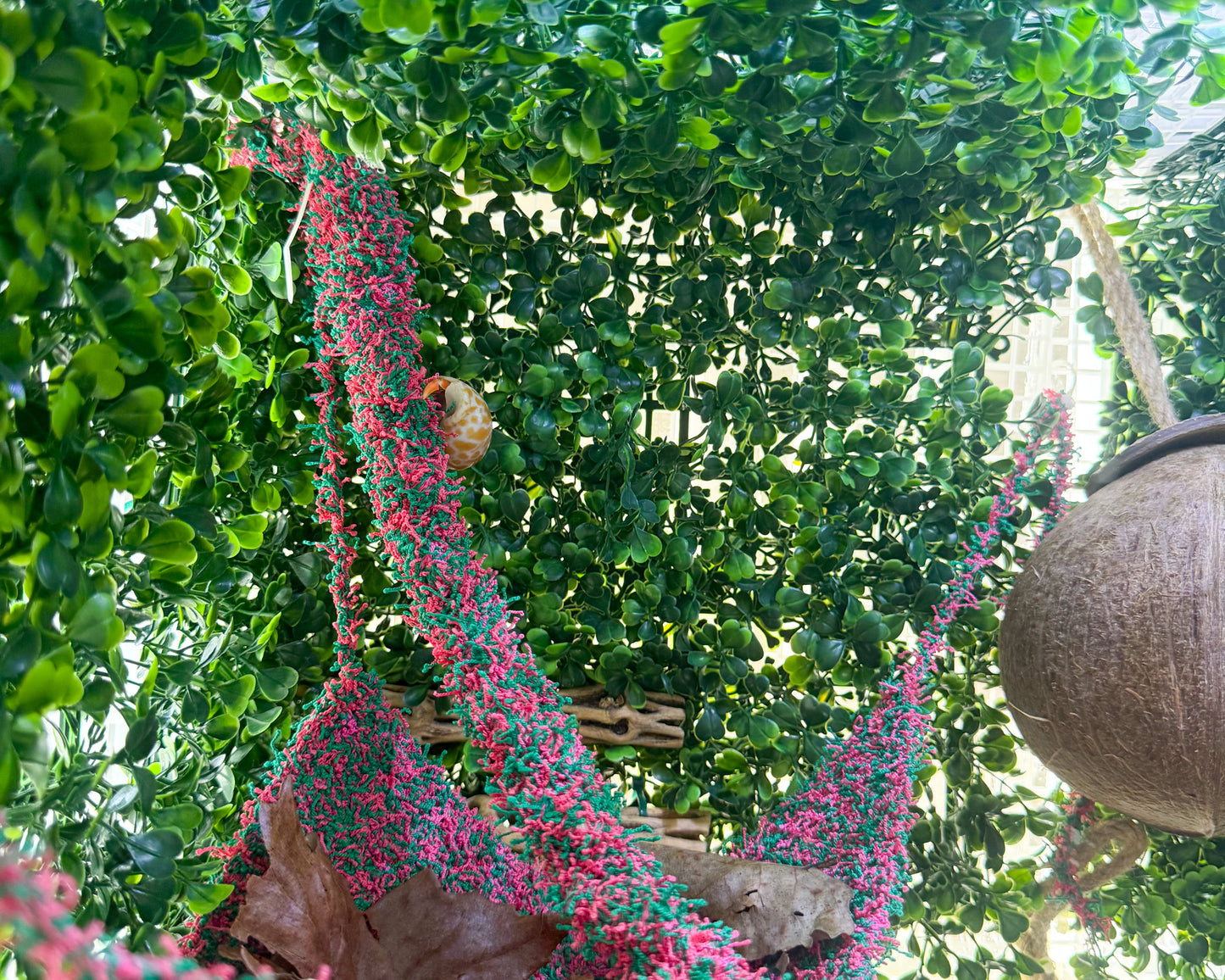 nortons nest hammock climbing vine rope tank accessory reptile hermit crab pet supplies janie groeling tank enrichment watermelon