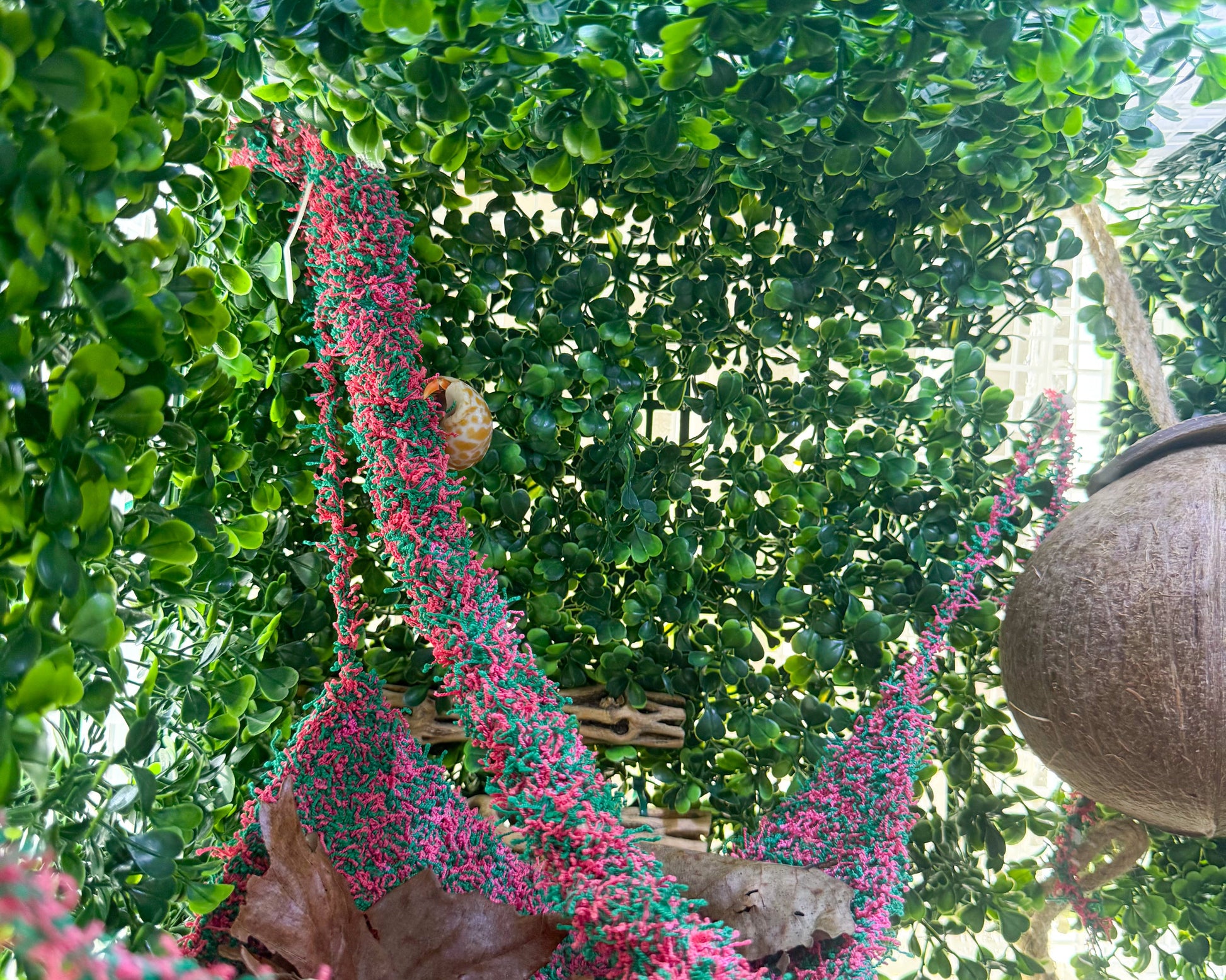 nortons nest hammock climbing vine rope tank accessory reptile hermit crab pet supplies janie groeling tank enrichment watermelon