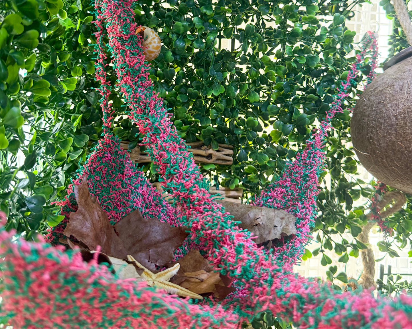 nortons nest watermelon climbing hermit crab enrichment bundle hammock climbing vine rope reptiles hermit crabs pet supplies tank accessories janie groeling