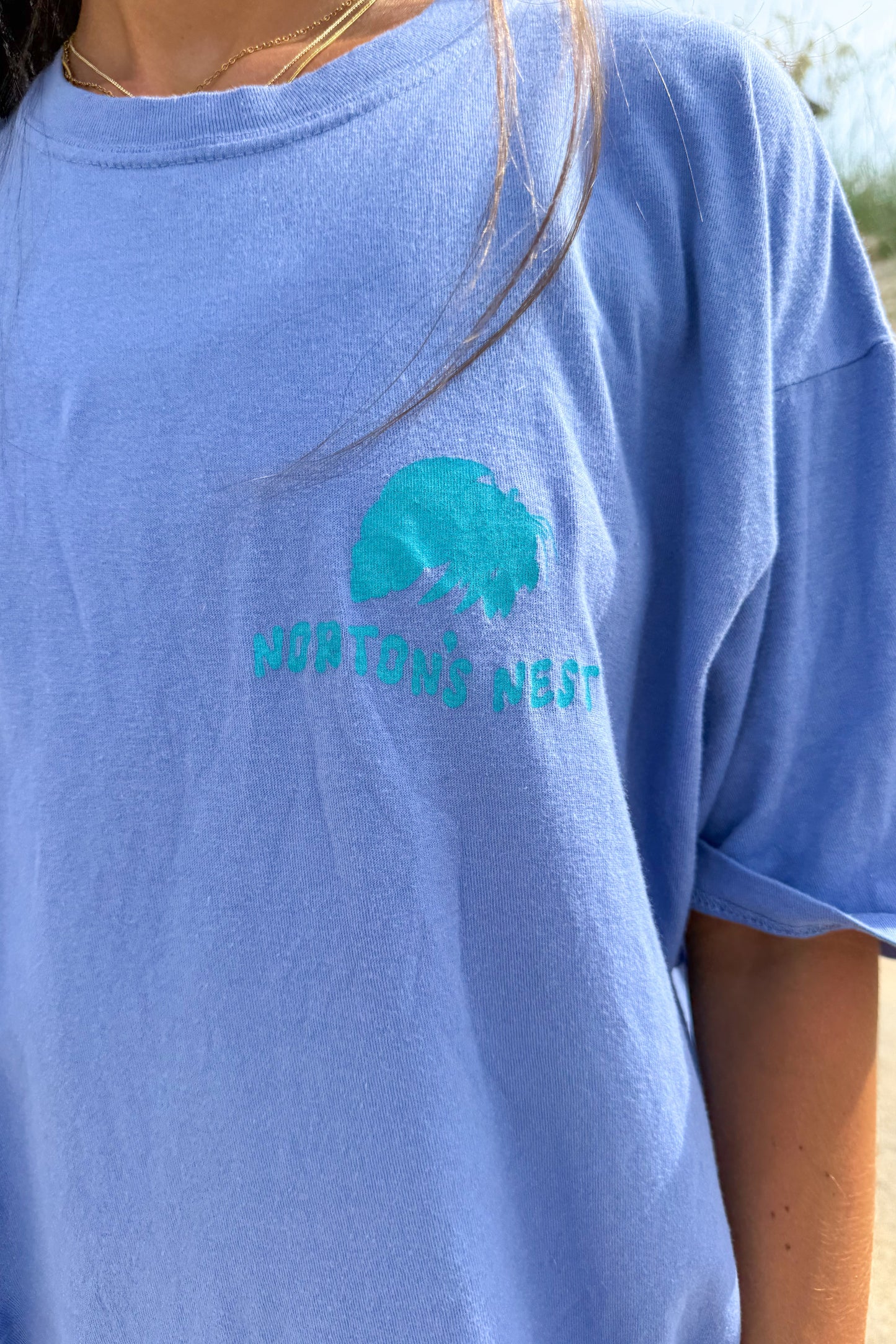 nortons nest janie groeling hermit crab save the hermit crabs short sleeve tee shirt top clothing apparel pet supplies blue  coastal 