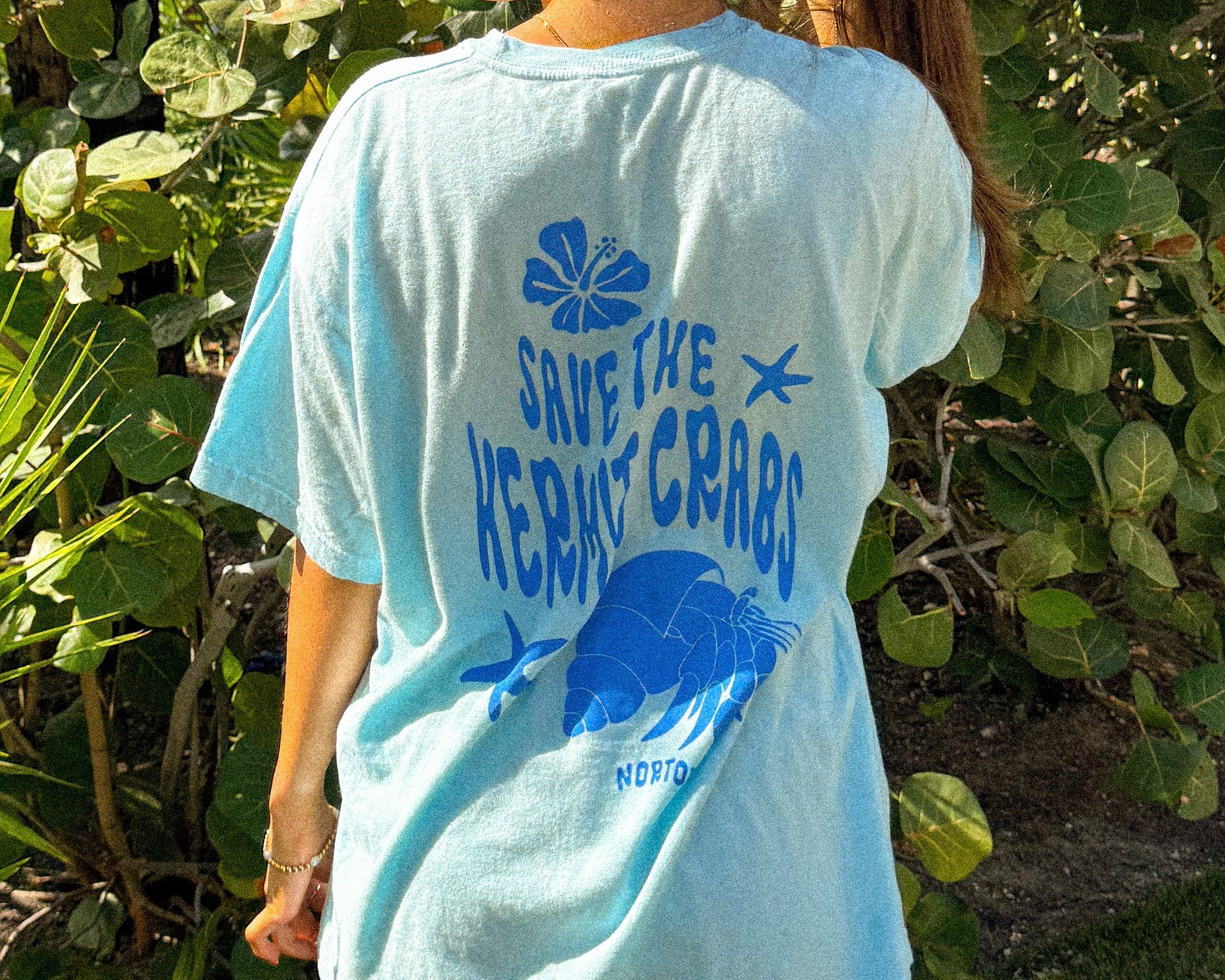 nortons nest janie groeling hermit crab save the hermit crabs short sleeve tee shirt top clothing apparel pet supplies blue  coastal 
