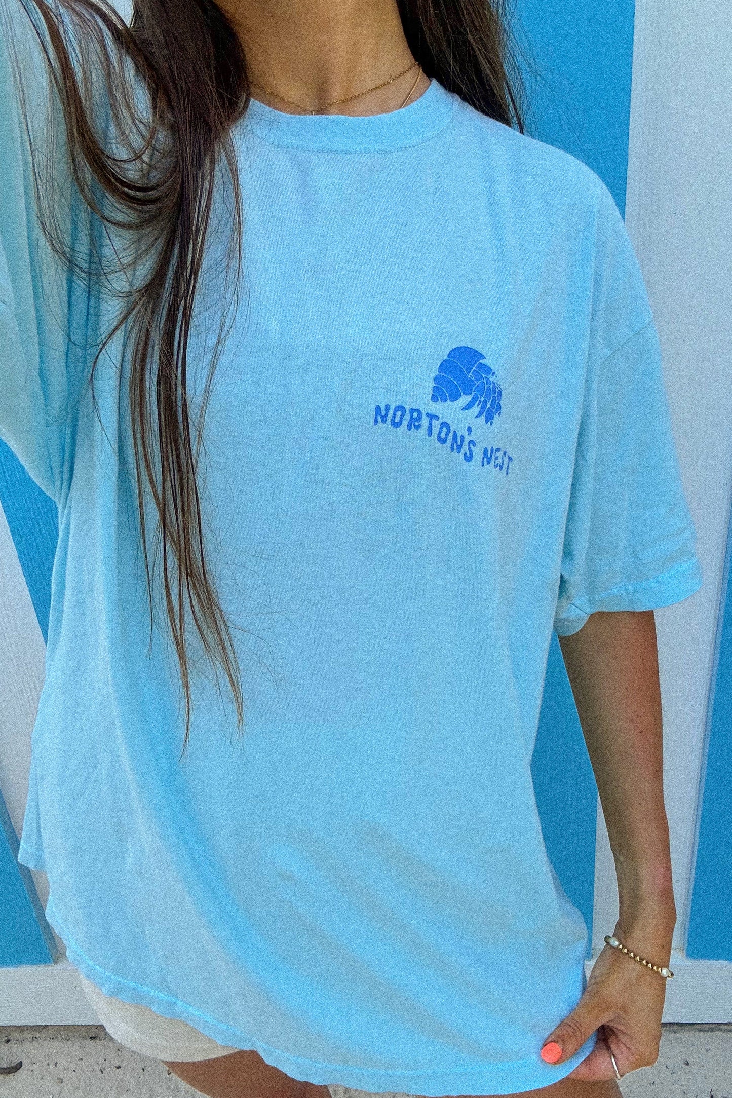 nortons nest janie groeling hermit crab save the hermit crabs short sleeve tee shirt top clothing apparel pet supplies blue  coastal 