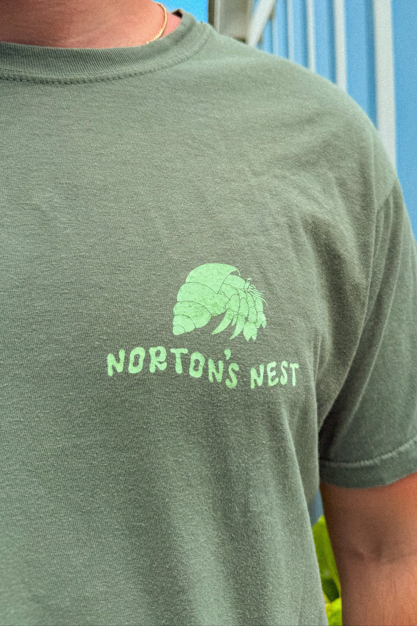 nortons nest janie groeling hermit crab save the hermit crabs short sleeve tee shirt top clothing apparel pet supplies blue  coastal 
