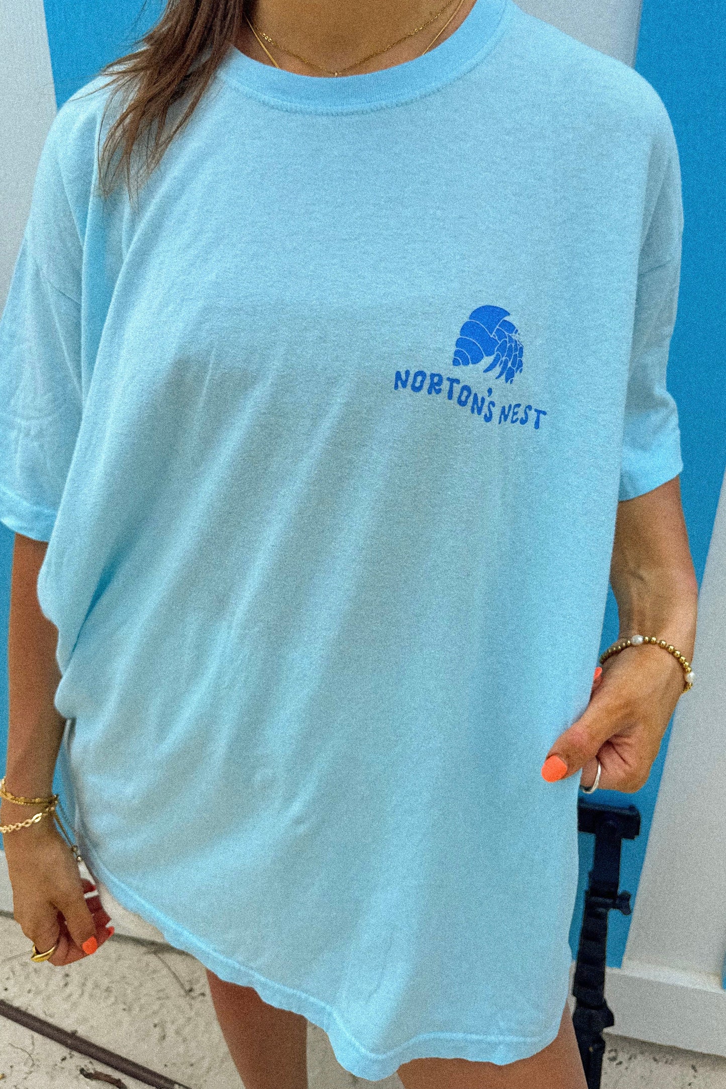 nortons nest janie groeling hermit crab save the hermit crabs short sleeve tee shirt top clothing apparel pet supplies blue  coastal 