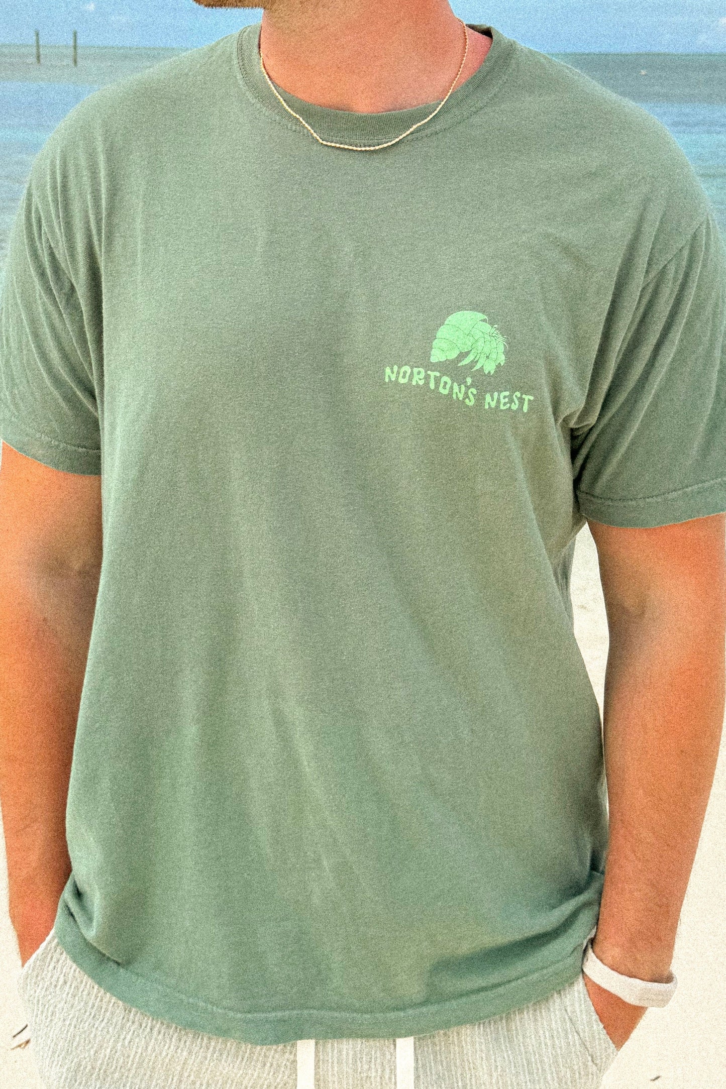 nortons nest janie groeling hermit crab save the hermit crabs short sleeve tee shirt top clothing apparel pet supplies blue  coastal 