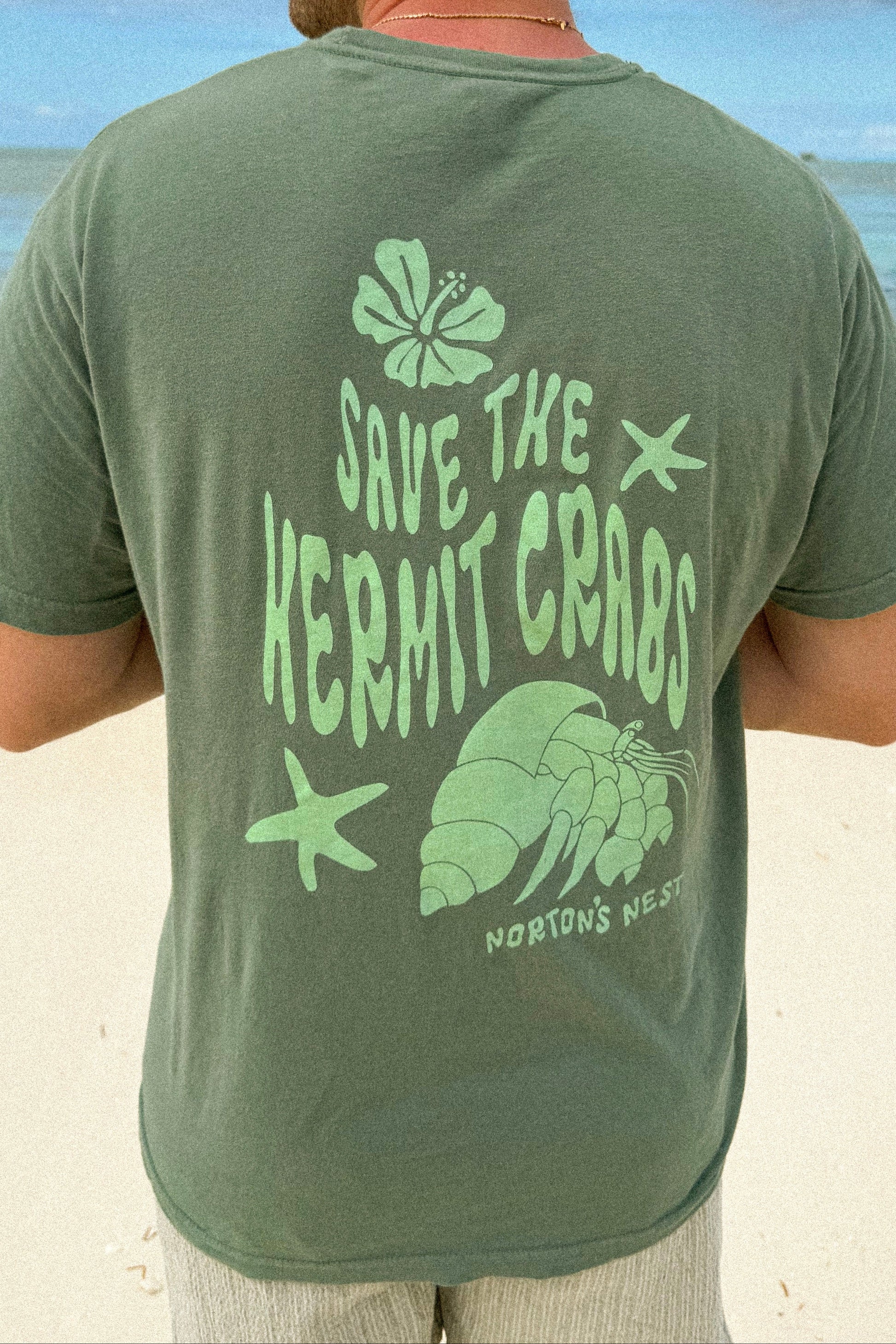 nortons nest janie groeling hermit crab save the hermit crabs short sleeve tee shirt top clothing apparel pet supplies blue  coastal 