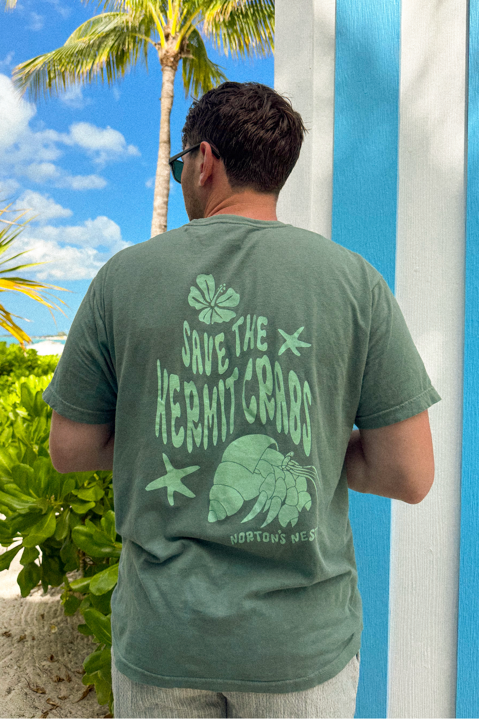 nortons nest janie groeling hermit crab save the hermit crabs short sleeve tee shirt top clothing apparel pet supplies blue  coastal 